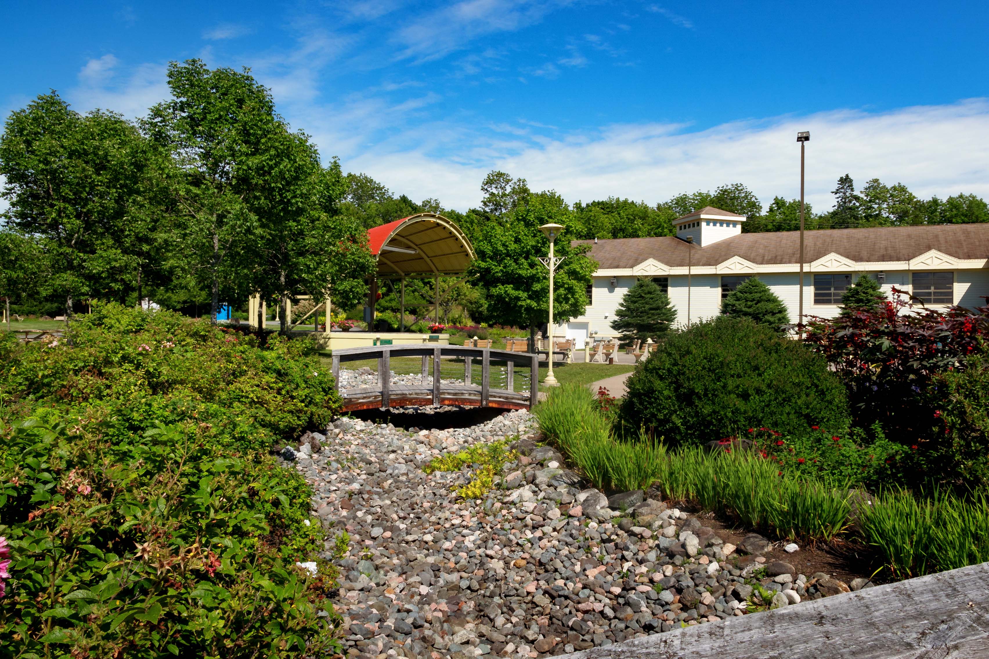 Summer landscape of trees, shrubs, Town Hall in the background.